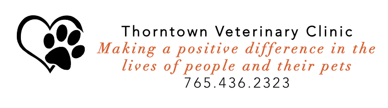 Thorntown Vet